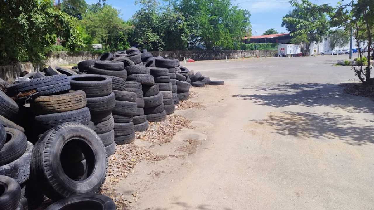 Chetumal enfrenta crisis por cementerios de llantas y abandono de panteones