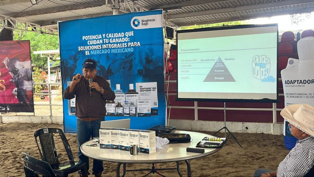 Microminerales inyectables mejoran ganado en Tabasco