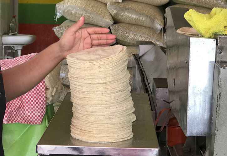 Golpe al Bolsillo: Kilo de Tortilla Subirá a $27 en Chetumal a Partir de Diciembre
