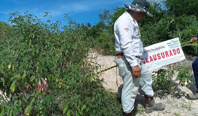 Profepa Clausura Mina de Holcim por Invadir la Reserva de Calakmul