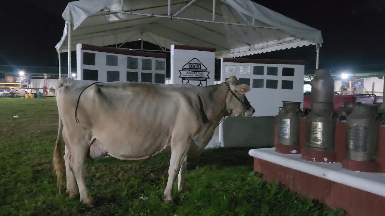 Expo Leche 2025: Chiapas se alista para ser referente nacional en ganadería láctea