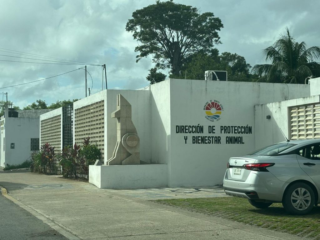 Polémica en Cancún: Cierran Centro de Bienestar Animal; regidor y activista exigen respuestas
