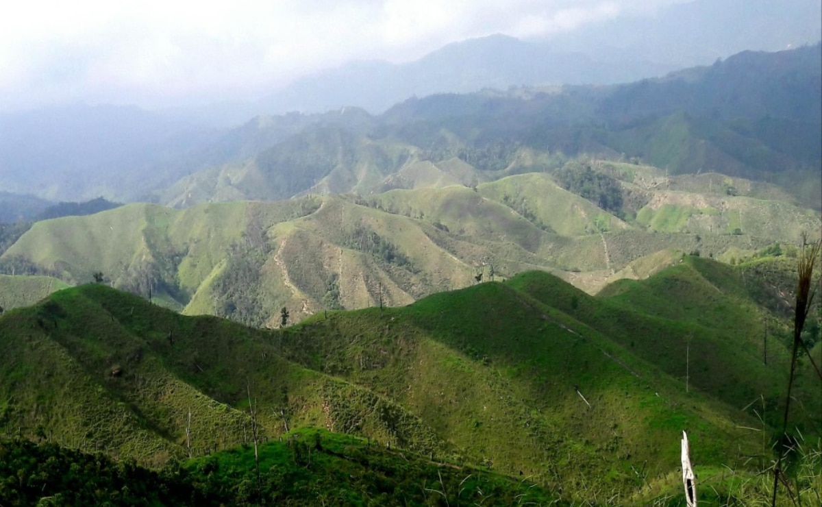 Chiapas en Alerta: Riesgo de Perder 160 Mil Hectáreas por Litigio Territorial con Oaxaca