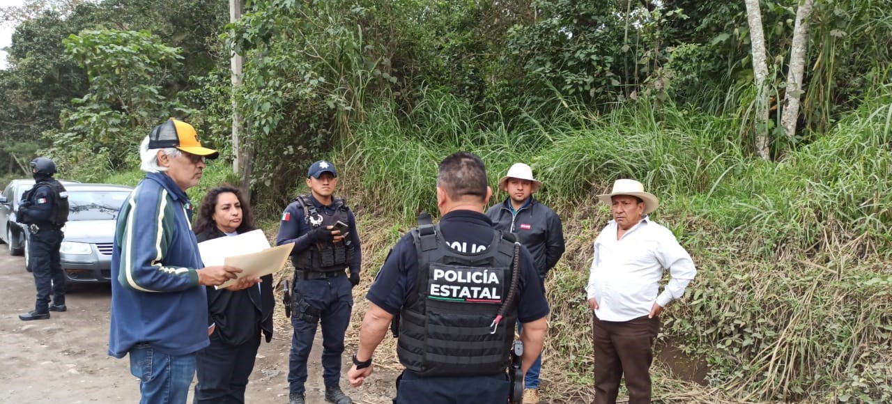 Descubren tala clandestina en cañada san juan, Xalapa