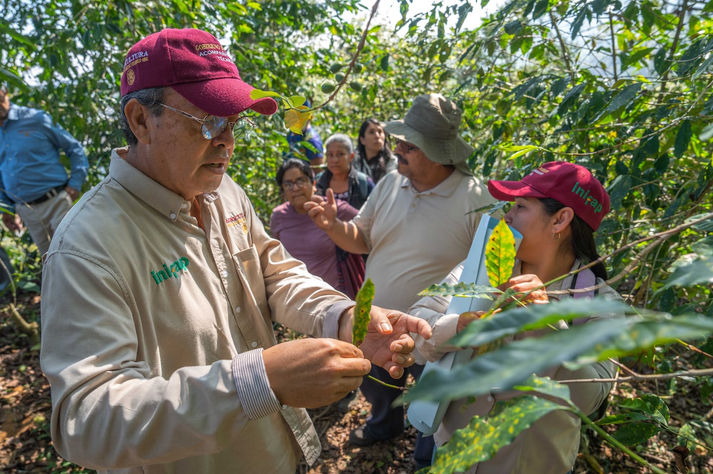 Escuelas de Campo: pilares de autosuficiencia alimentaria en México