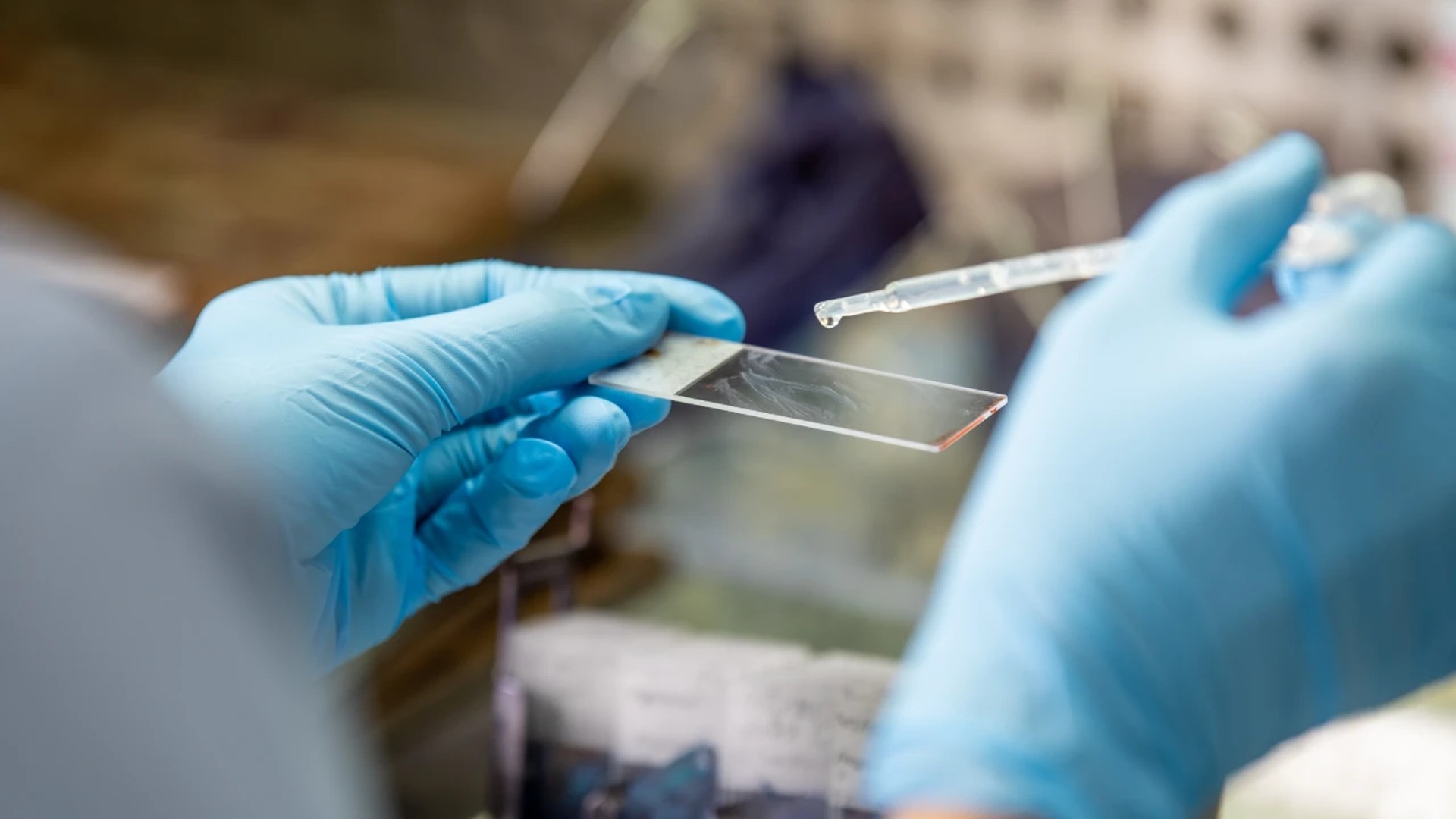 Veracruz refuerza detección de VPH ante alerta por cáncer