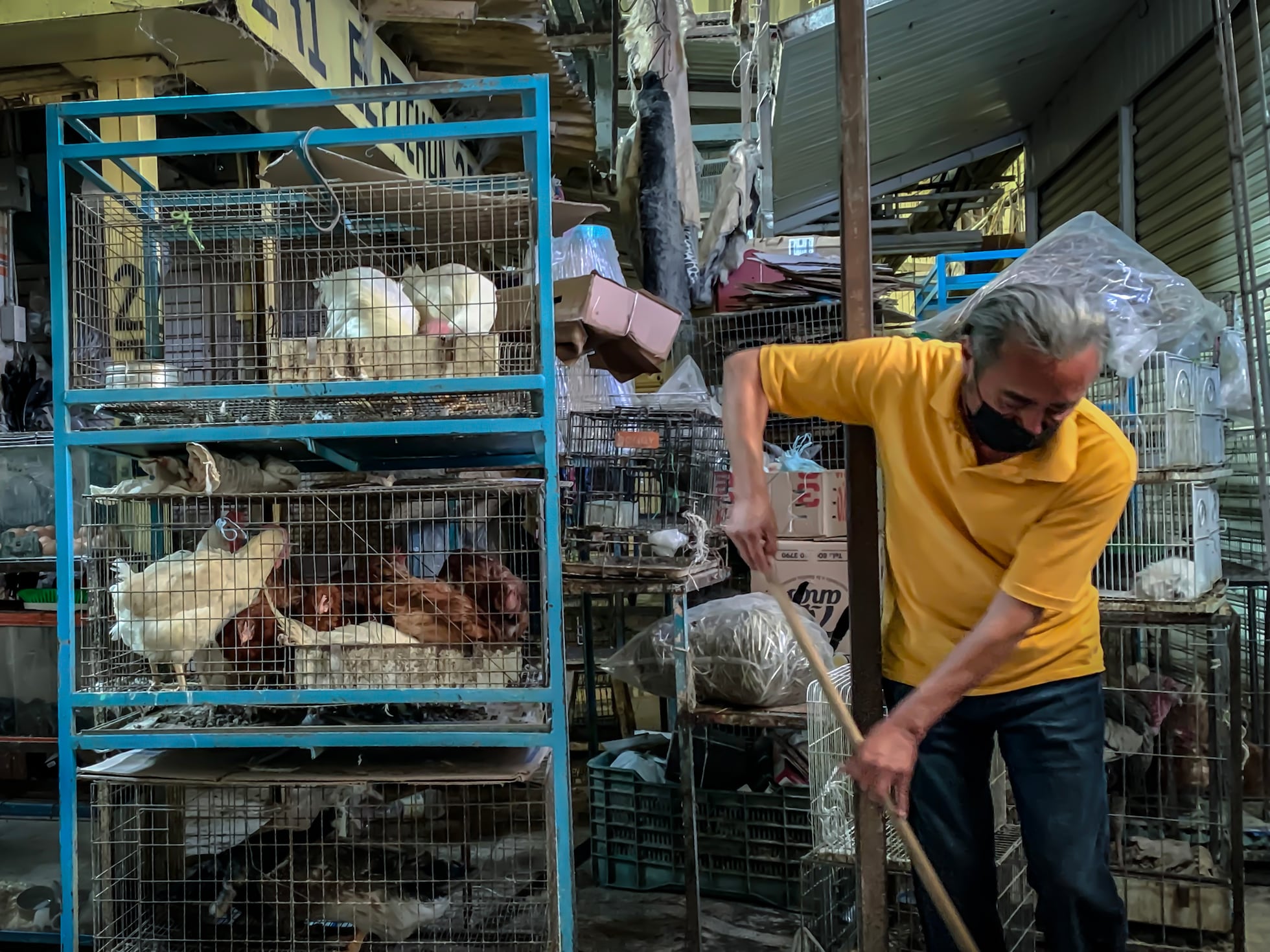 Venta clandestina de animales persiste en mercado de Sonora