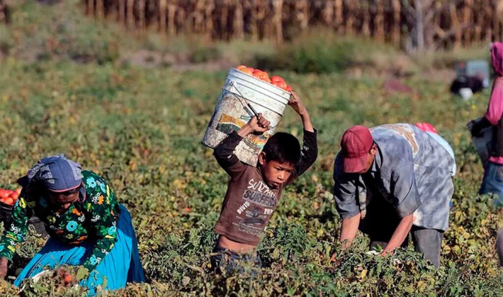 Más de 200 mil niños trabajadores en Chiapas