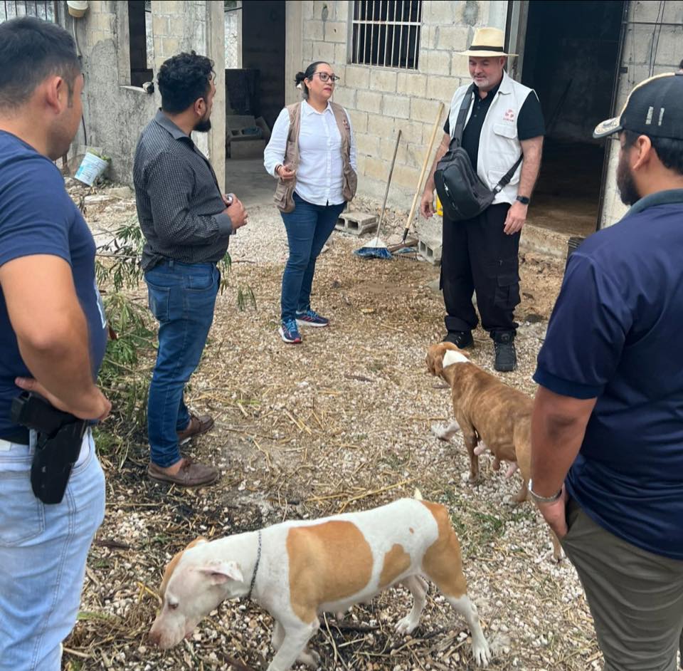 Fiscalía especializada interviene en denuncia de maltrato animal