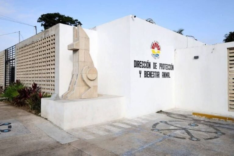 Centro de Bienestar Animal Cancún reabre tras remodelación