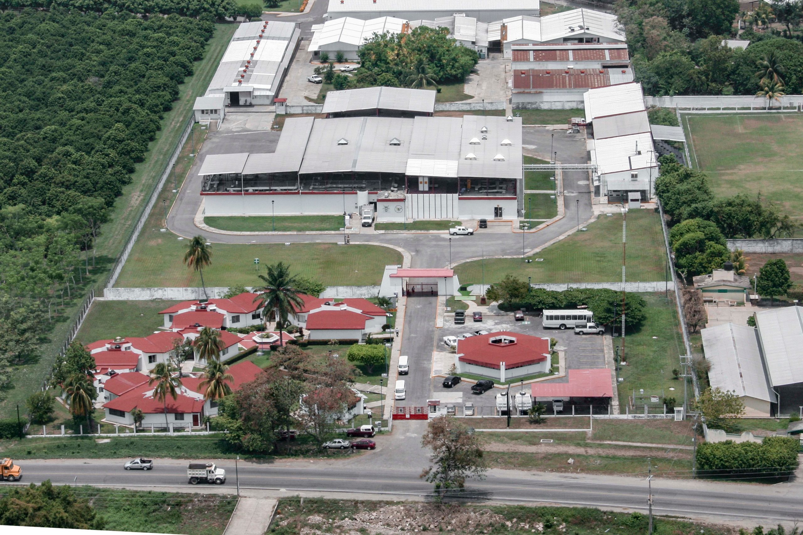 Planta de moscas estériles en Chiapas avanza 50%