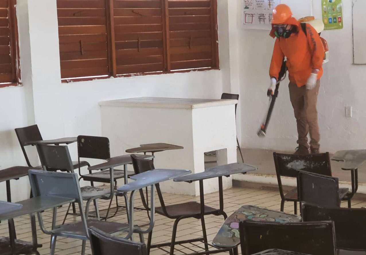 Suspensión de Clases en Chetumal por Plaga de Garrapatas